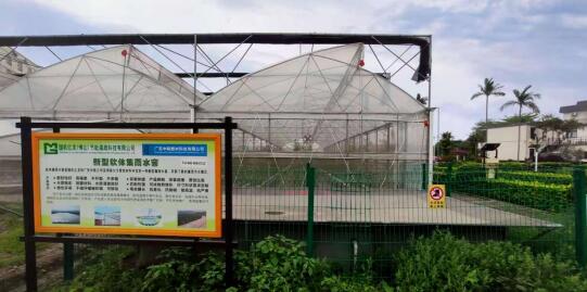 ����֮�� - dpzx.com