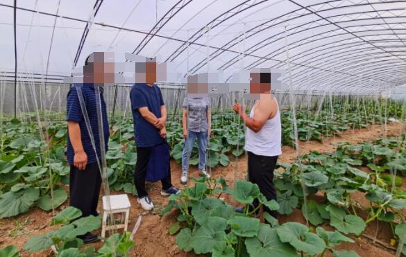 ����֮�� - dpzx.com