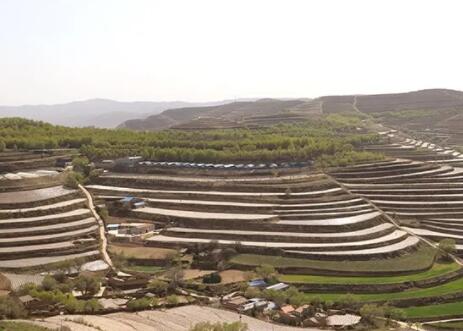 ����ִ�����弯��ˮ��ˮ��һ�廯��������ũҵ��չ����·��