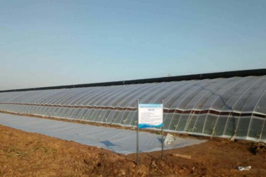 ����֮�� - dpzx.com