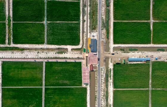 ɽ����չ2021��ʡ���л�����ũҵ����ʾ������