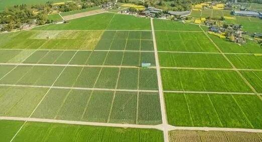 �߳߶�ũ�ｨ��ľ���߶���ʲô