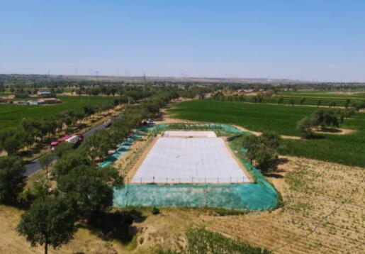 ����֮�� - dpzx.com