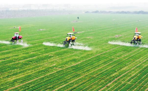 2021�ǻ�ũҵ��ȼ���������������