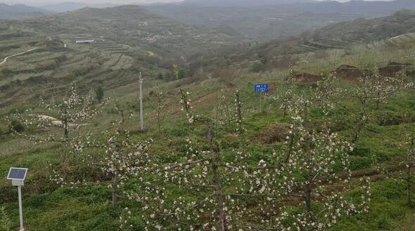 ����֮�� - dpzx.com