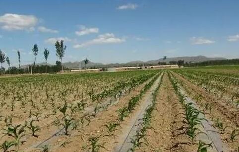 ����֮�� - dpzx.com