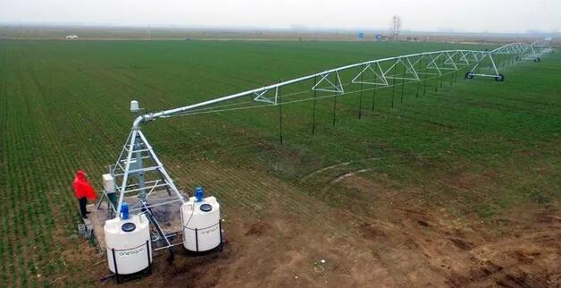 ����֮�� - dpzx.com