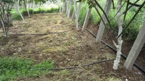 ����֮�� - dpzx.com