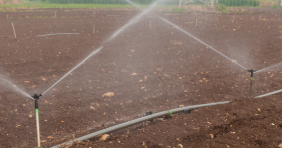 ����֮�� - dpzx.com