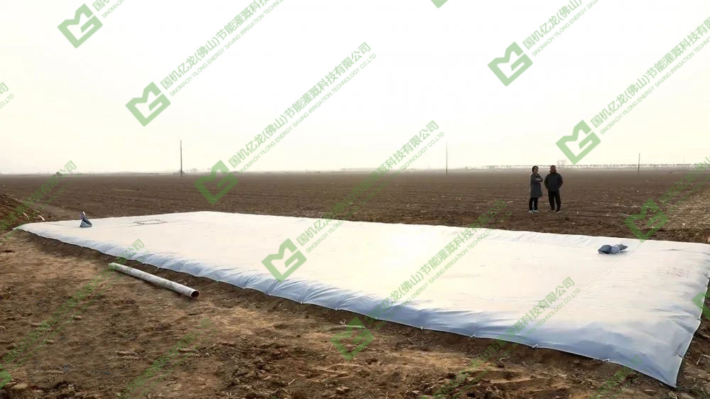 ����֮�� - dpzx.com