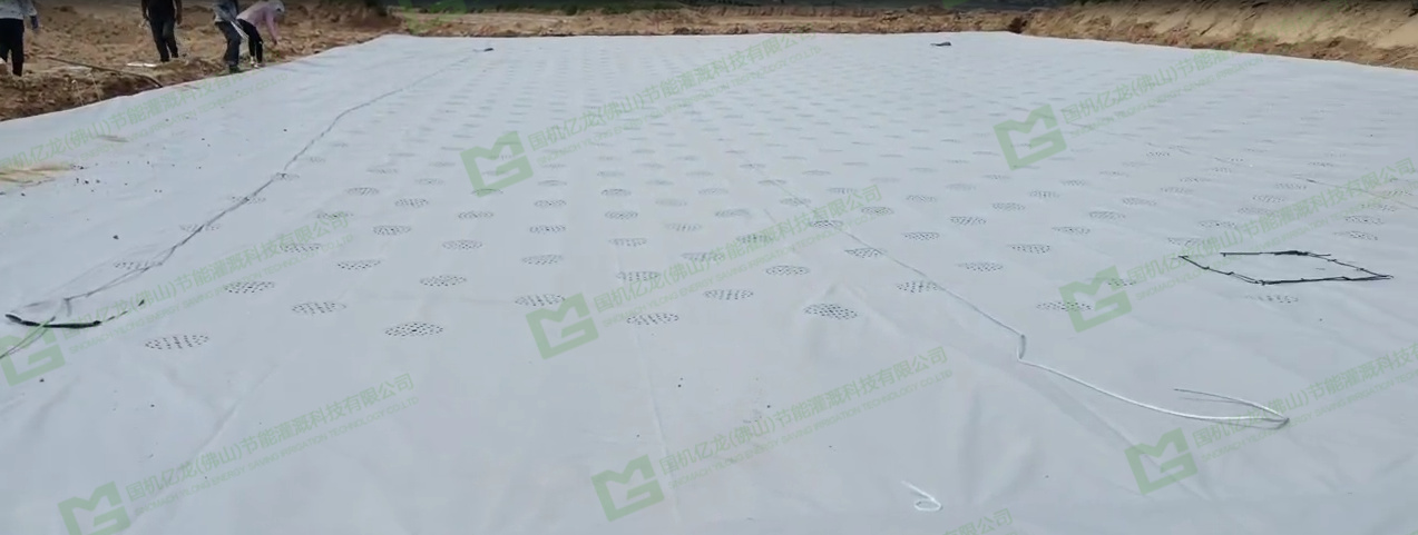 ����֮�� - dpzx.com