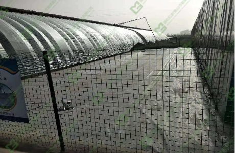 ����֮�� - dpzx.com