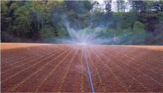 20220901104509_42234 德扑之星 - dpzx.com