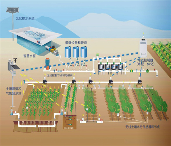 ����֮�� - dpzx.com