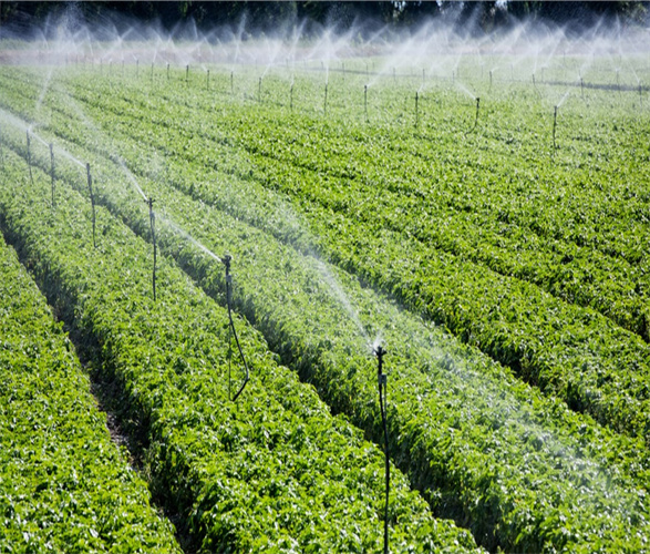 ����֮�� - dpzx.com