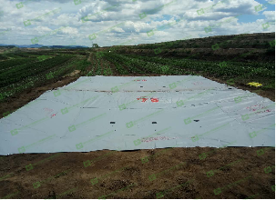 ����֮�� - dpzx.com