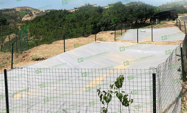 ����֮�� - dpzx.com