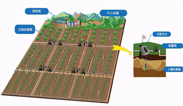 20221009102022_33494 µÂÆËÖ®ÐÇ - dpzx.com