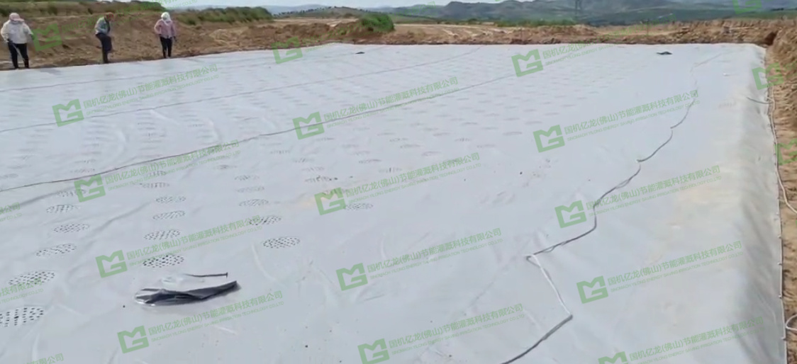 ����֮�� - dpzx.com