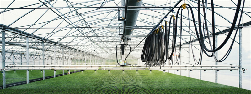 20221018163331_22902 德扑之星 - dpzx.com