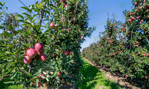 ����֮�� - dpzx.com