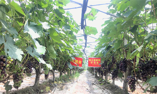 20221027105015_50463 µÂÆËÖ®ÐÇ - dpzx.com