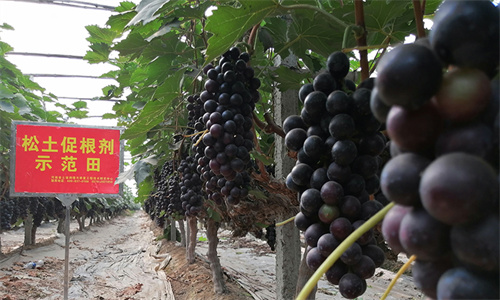 20221027105122_33524 µÂÆËÖ®ÐÇ - dpzx.com