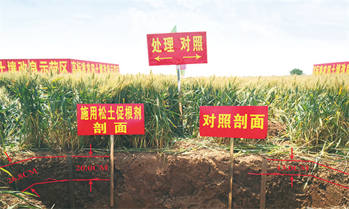 20221027105158_17761 µÂÆËÖ®ÐÇ - dpzx.com