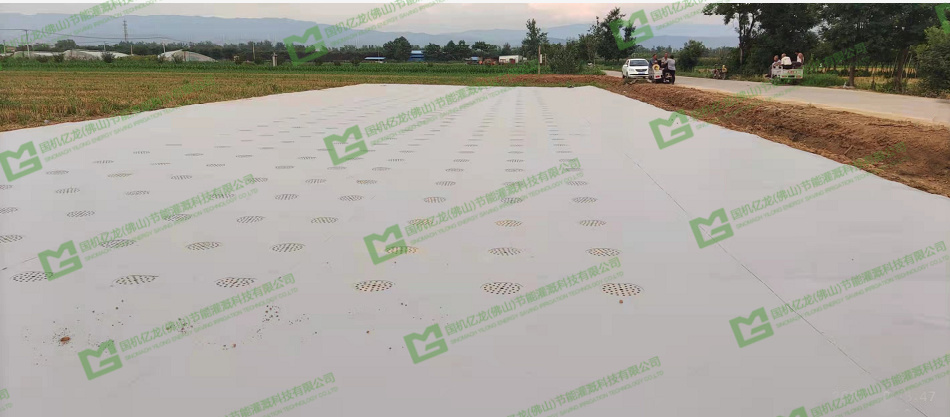 ����֮�� - dpzx.com