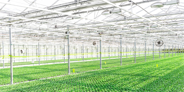 20221101104809_30762 德扑之星 - dpzx.com