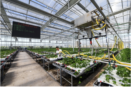 20221101110246_91195 µÂÆËÖ®ÐÇ - dpzx.com