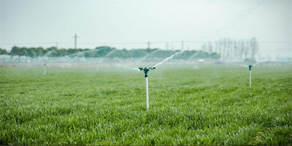 ����֮�� - dpzx.com