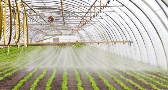 ����֮�� - dpzx.com