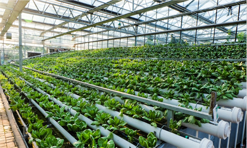 20221202161206_74467 µÂÆËÖ®ÐÇ - dpzx.com