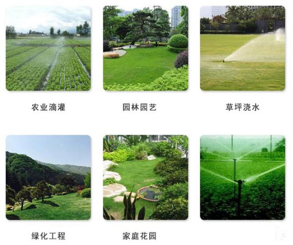 ����֮�� - dpzx.com