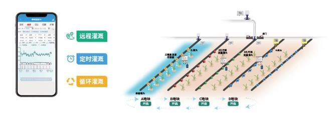 ����֮�� - dpzx.com