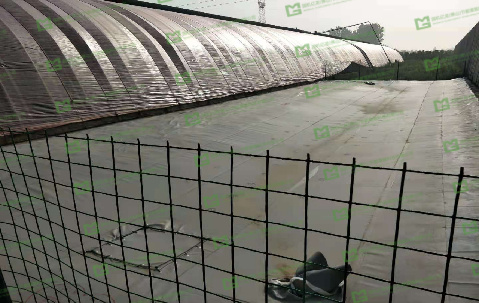 ����֮�� - dpzx.com