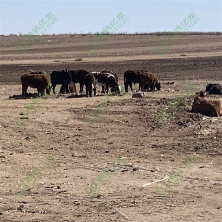 ����֮�� - dpzx.com