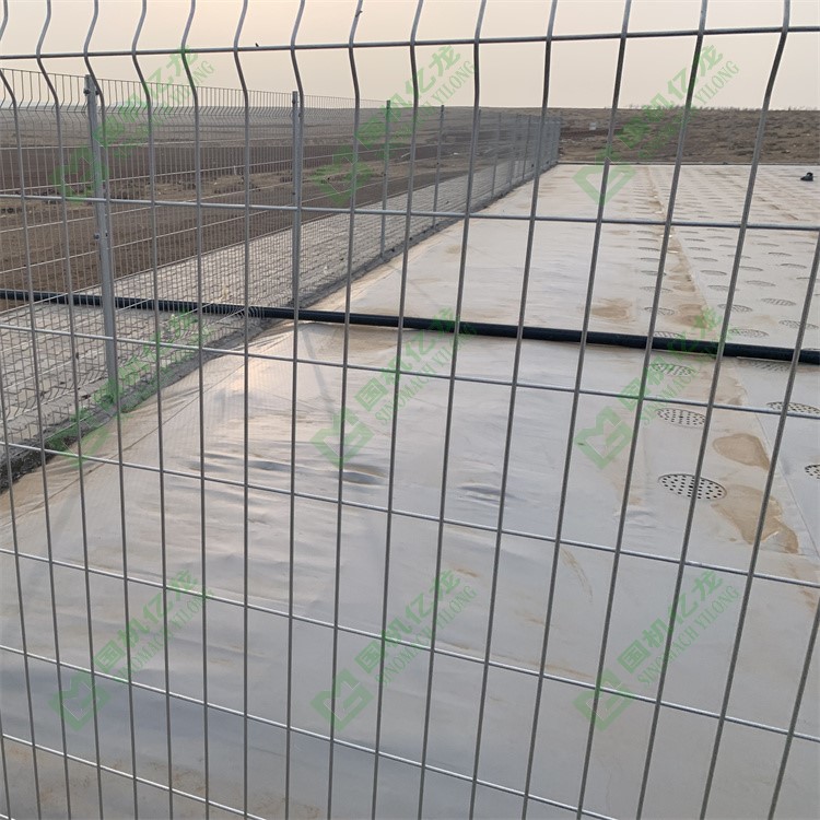 ����֮�� - dpzx.com