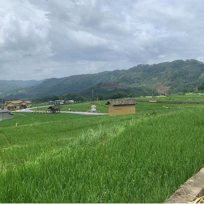 ����֮�� - dpzx.com