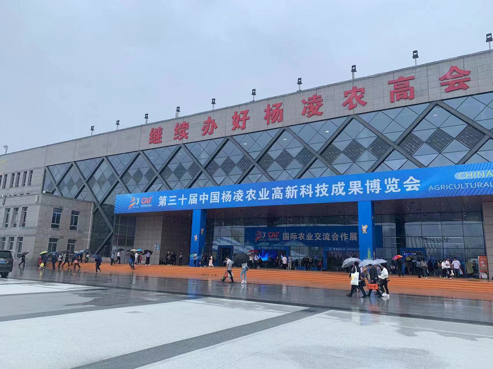 ����֮�� - dpzx.com