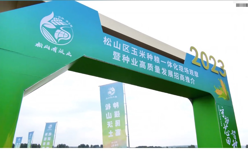 ����֮�� - dpzx.com