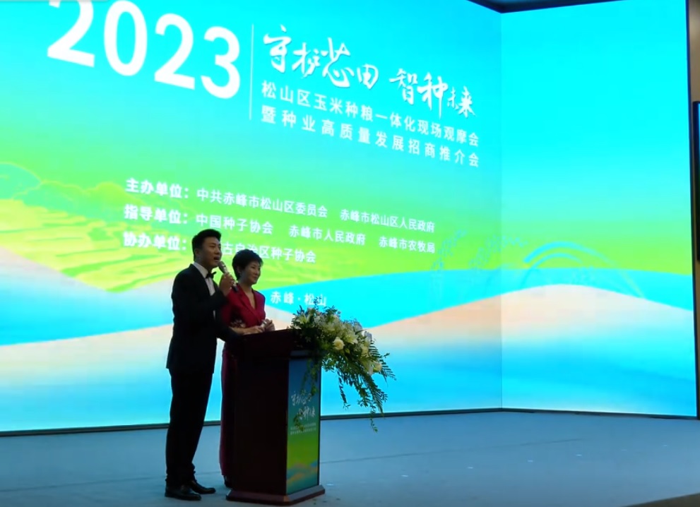 ����֮�� - dpzx.com