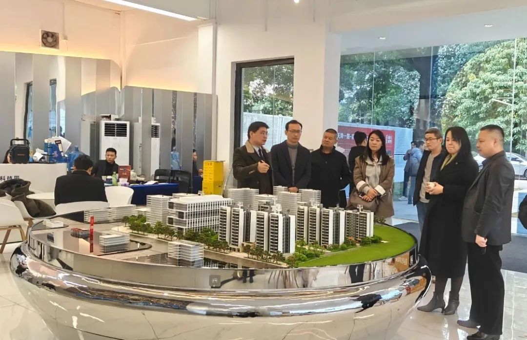 ����֮�� - dpzx.com