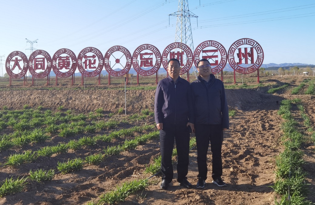 ����֮�� - dpzx.com