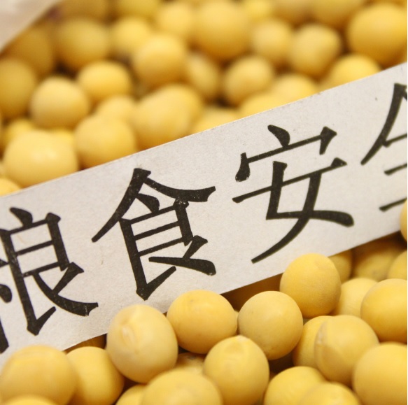 ����֮�� - dpzx.com