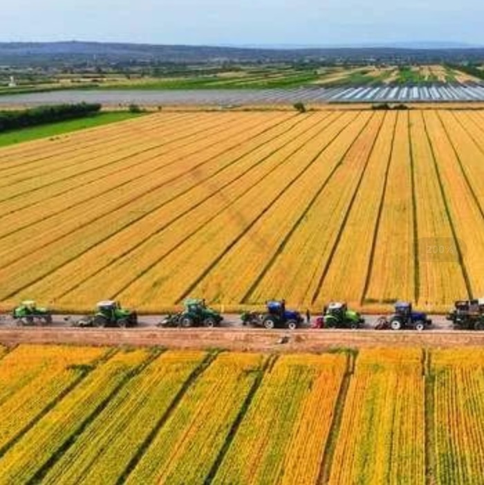 ����֮�� - dpzx.com