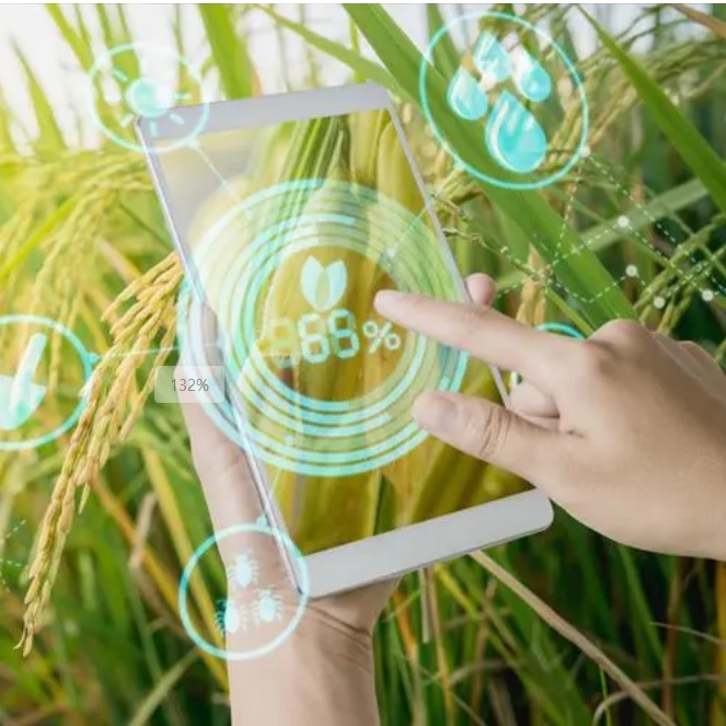 ����֮�� - dpzx.com