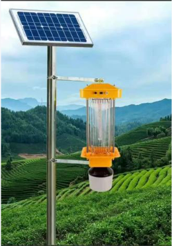 ����֮�� - dpzx.com