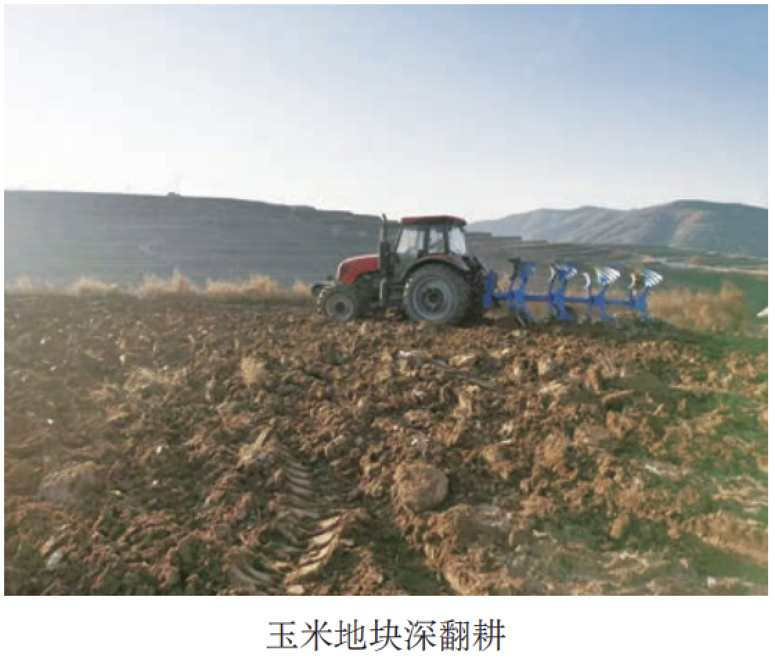 ����֮�� - dpzx.com